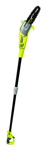 Ryobi RPP750S Pole Pruner with Extension Pole, 750 W - Hyper...