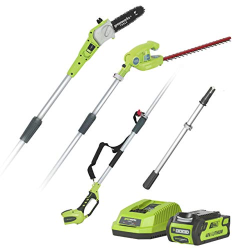 Greenworks Tools Battery Tall Scale and Telescopic Hedge...