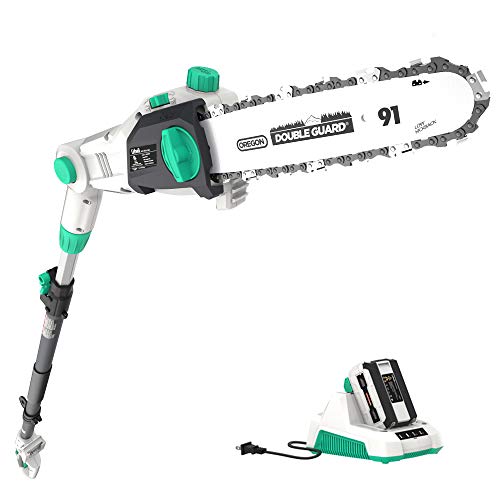 Litheli 40V Cordless Pole Saw 10 inches with 2.5AH Battery...