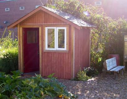 Shed needs wood preserve