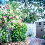 How to Make Sure Your Shed is Safe and Sturdy